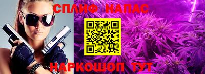 a pvp Можга