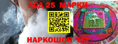 a pvp Можга