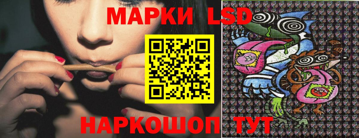Наркотические марки 1,5мг  Наркотические марки 1,5мг  Шарыпово  Вход с VPN 