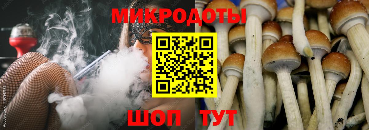 Псилоцибиновые грибы Magic Shrooms  Вход с VPN  Шарыпово 